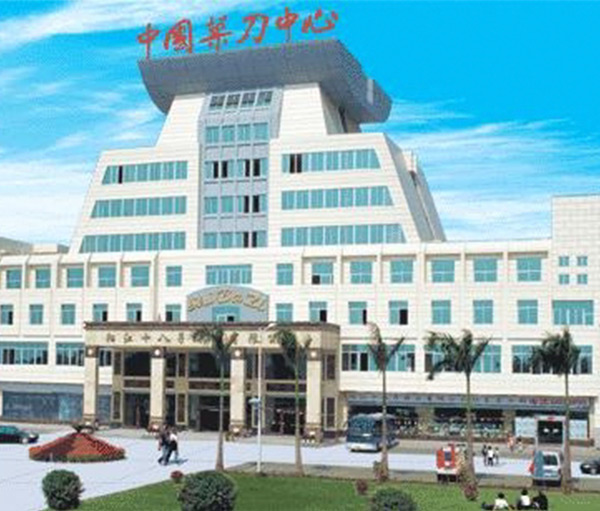 阳江十八子团体